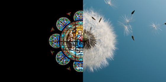 Program Image